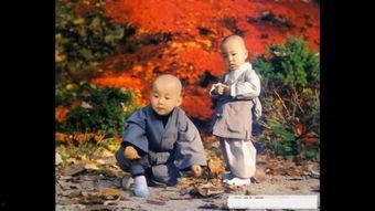 少林翻子拳教学视频,一招一式，领略传统武术魅力