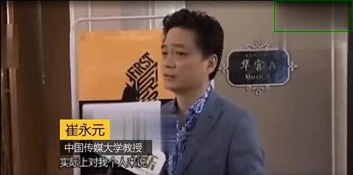 采访崔永元的视频,揭秘娱乐圈幕后真相
