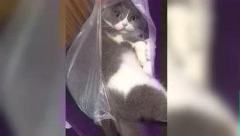 悠琦爱视频,探索青春校园的甜蜜旋律