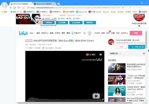 b站如何下视频,告别版权困扰