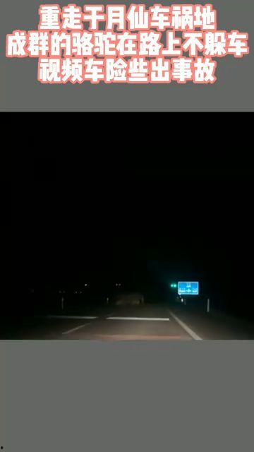 地出视频,探索地出世界之美